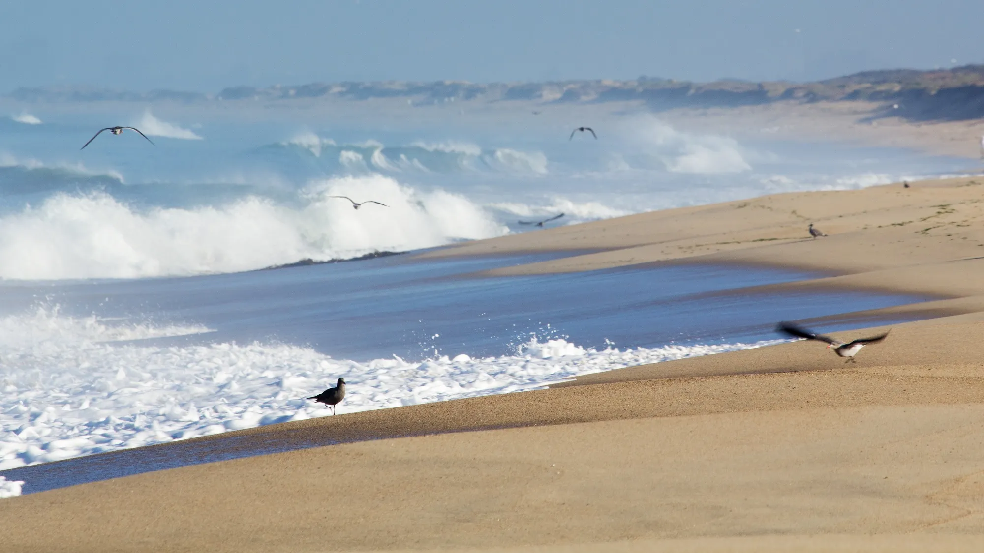 Dr. Curtis Jansen Monterey CA Expert Prosthodontist