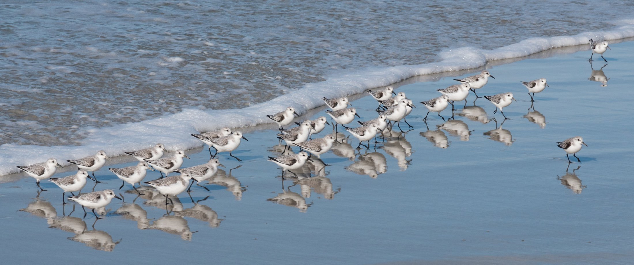 Dr. Curtis Jansen Monterey CA Expert Prosthodontist